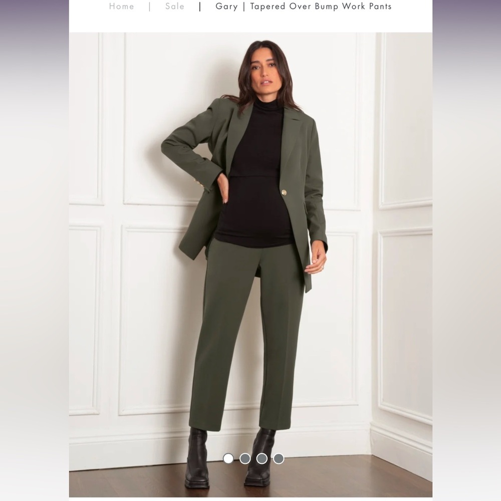 Seraphine Gary Maternity Work Pants, NWT, Size 8
